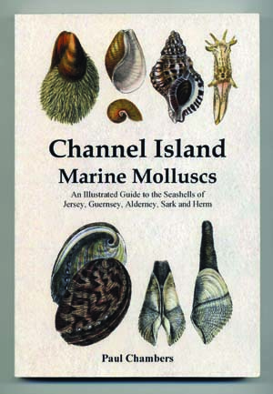 Guide to the Common Seashells of Britain and Ireland [Book]