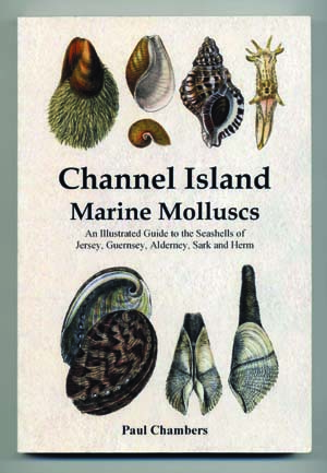 Channel Island Marine Molluscs: An Illustrated Guide to the