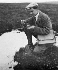 A. W. Stelfox collecting in 1910