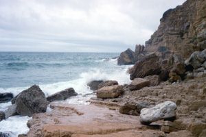 exposed rocky shores