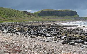 Example of a mixed shore habitat