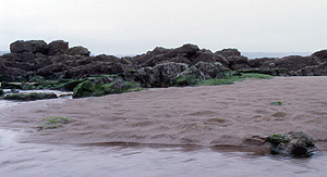 sandy shore