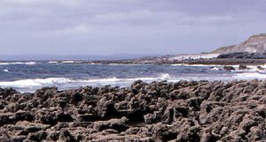 semi-exposed rocky shores