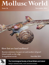 Mollusc World - Issue 36