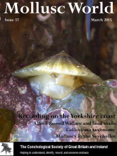 Mollusc World - Issue 37