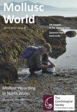 Mollusc World - Issue 40