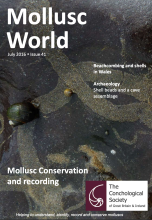 Mollusc World - Issue 41