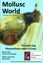 Mollusc World - Issue 42