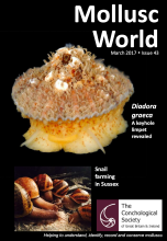 Mollusc World - Issue 43