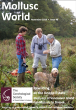 Mollusc World - Issue 48