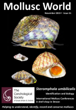 Mollusc World - Issue 51