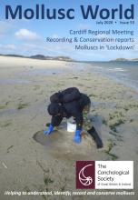 Mollusc World - Issue 53