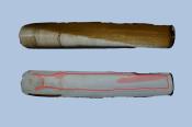 Exterior and interior of left valve annotated to show pallial sinus and muscle scars